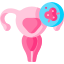 Cervix Cancer