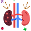 Kidney Cancer